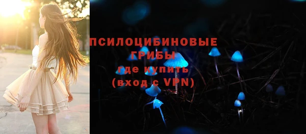 спайс Белокуриха