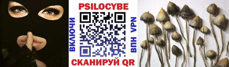 купить наркотик  Пионерский  Галлюциногенные грибы мицелий 